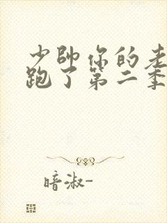 少帅你的老婆又跑了第二季封面