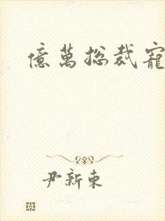 亿万总裁宠妻忙