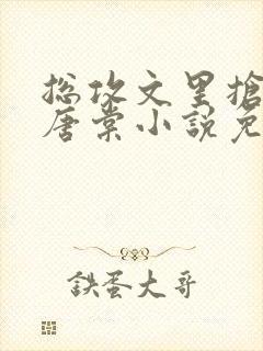 总攻文里抢主角唐棠小说免费阅读无弹窗