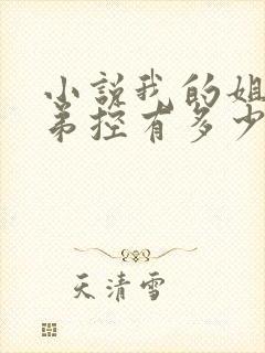 小说我的姐姐很弟控有多少章