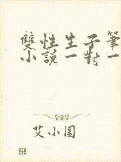 双性生子笔趣阁小说一对一封面