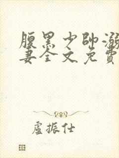 腹黑少帅溺爱狂妻全文免费阅读