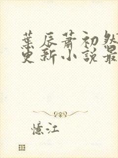 叶辰萧初然最快更新小说最新章节