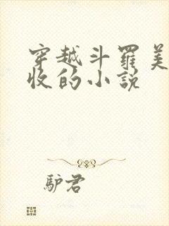 穿越斗罗美女全收的小说