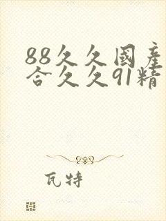 88久久国产综合久久91精品