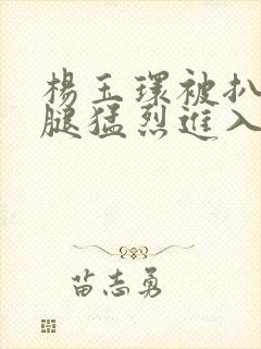 杨玉环被扒开双腿猛烈进入小说