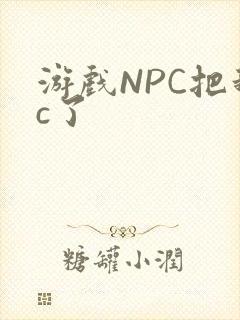 游戏NPC把我c了