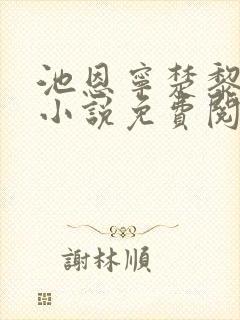 池恩宁楚黎川的小说免费阅读免费听书