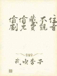 偷偷藏不住电视剧免费观看全集完整版高清