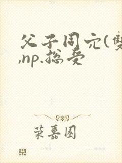 父子同穴(双性,np.总受