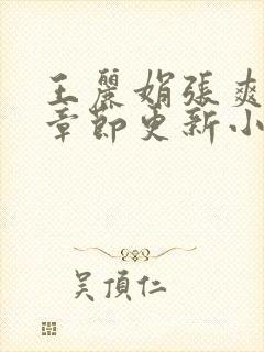 王丽娟张爽最新章节更新小说封面