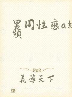 男同性恋a级视频