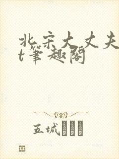 北宋大丈夫txt笔趣阁封面