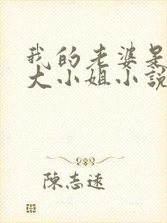 我的老婆是京圈大小姐小说