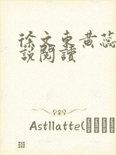 徐文东黄蕊蕊小说阅读