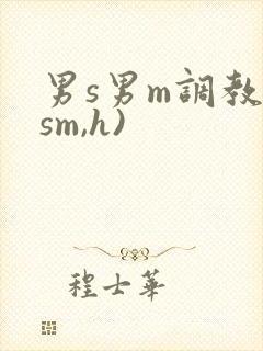 男s男m调教(sm,h)