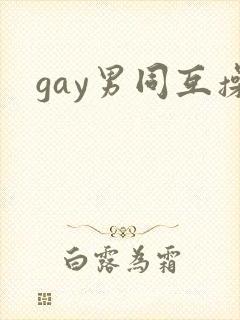 gay男同互操