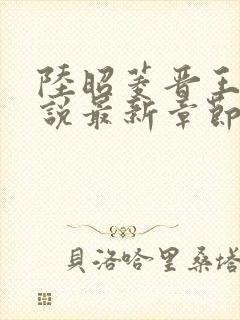 陆昭菱晋王的小说最新章节