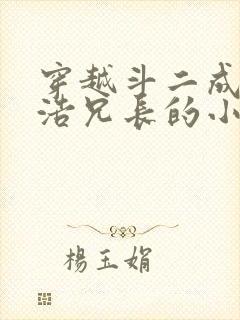 穿越斗二成霍雨浩兄长的小说