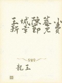 王城陈蓉小说最新章节免费阅读全文