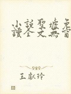 小说圣墟免费阅读全文无窗口