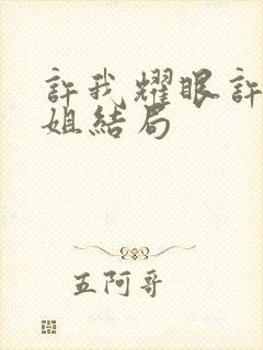 许我耀眼许妍姐姐结局