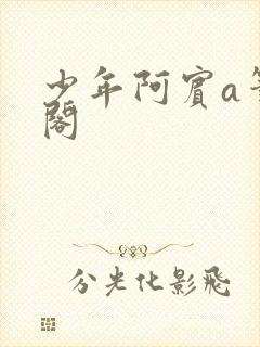 少年阿宾a笔趣阁封面