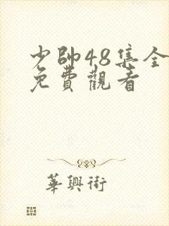 少帅48集全集免费观看封面