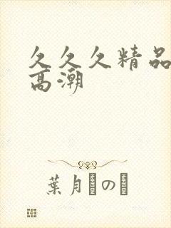 久久久精品国产高潮