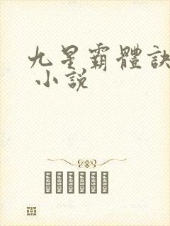 九星霸体诀龙尘 小说