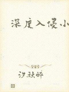 深度入侵小说