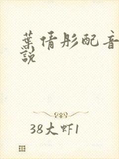 叶倩彤配音的小说封面