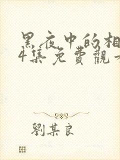 黑夜中的相拥24集免费观看