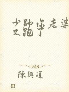 少帅你老婆老婆又跑了封面