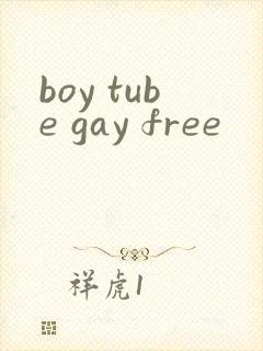 boy tube gay free封面