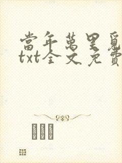 当年万里觅封侯txt全文免费下载封面