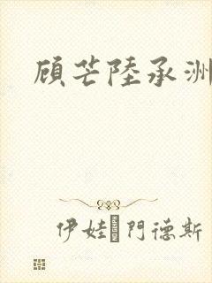 顾芒陆承洲封面