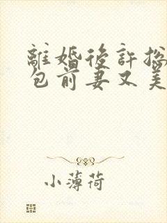 离婚后许总的草包前妻又美又飒免费阅读