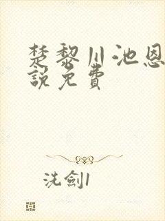 楚黎川池恩宁小说免费