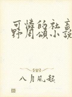 可怜的社畜 商野周颂小说