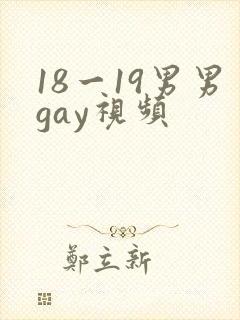 18一19男男gay视频