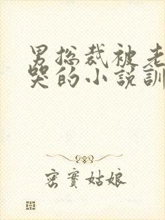 男总裁被老婆揍哭的小说训诫