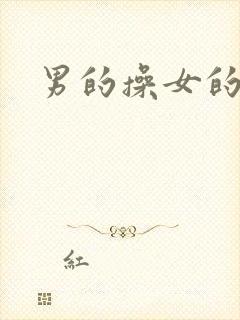 男的操女的视频