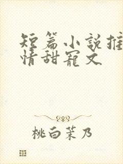 短篇小说推荐言情甜宠文