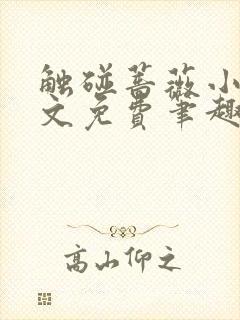 触碰蔷薇小说全文免费笔趣阁