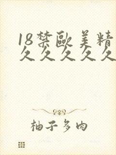 18禁欧美精品久久久久久