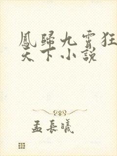 凤归九霄狂妃逆天下小说