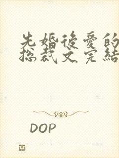 先婚后爱的小说总裁文完结小说