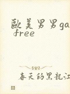 欧美男男gay free