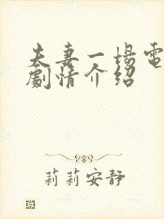 夫妻一场电视剧剧情介绍